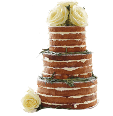 Seminaked cake