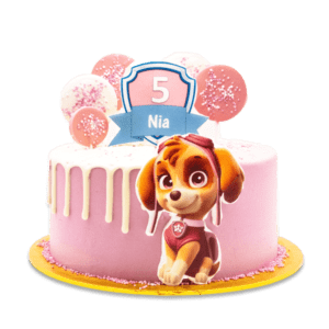 Skye Paw Patrol Cake