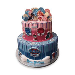 Paw Patrol Double Fun