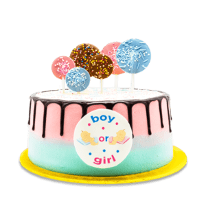 Gender Reveal Cake