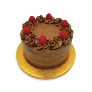 Vegan Chocolate Raspberry Cake