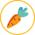 carrot